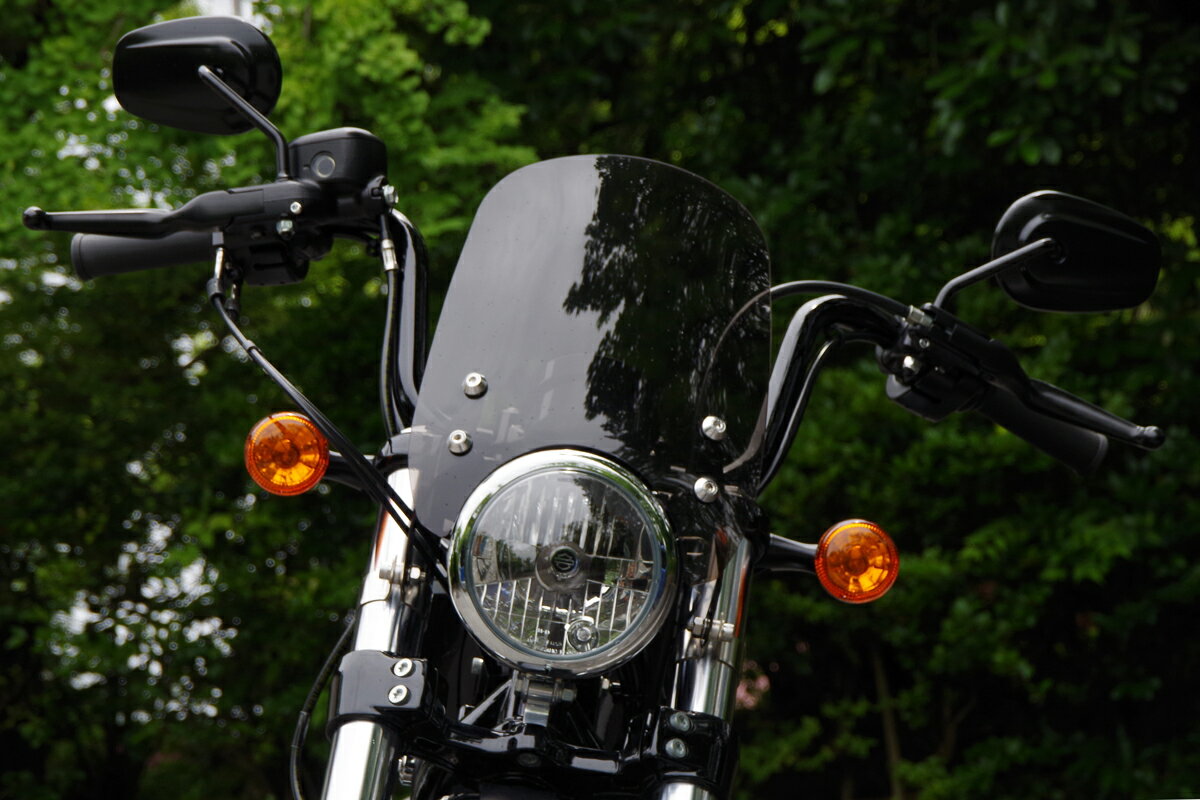 XL1200X��16ǯ�� 49�եե������ѥ᡼�����Х��������������롼���� ���� ���⡼�� WORLD WALK�ʥ��ɥ���������