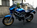 VTR250 汎用ビキニカウル DS-01 typeエアロ スモークスクリーン（グリントウェーブブルーメタリック単色塗装）B-197M WORLD WALK（ワールドウォーク）