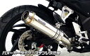 CB250F(14年~) スリップオンマフラー バズーカータイプ ステンレス ウイルズウィン(WirusWin)