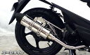 アドレス110(ADDRESS)EBJ-CE47A ロイヤルマフラー ユーロタイプ ステンレス ウイルズウィン(WirusWin)