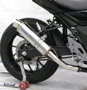 GSX250R(2BK-DN11A) スリップオンマフラー スポーツタイプ ステンレス ウイルズウィン(WirusWin)