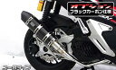 ADV150 ロイヤルマフラー ユーロタイプ ブラックカーボン ウイルズウィン(WirusWin)