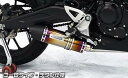 CB250R（2BK-MC52） ダイナミックマフラー ユーロタイプ フルエキゾースト チタン仕様 ウイルズウィン（WirusWin）