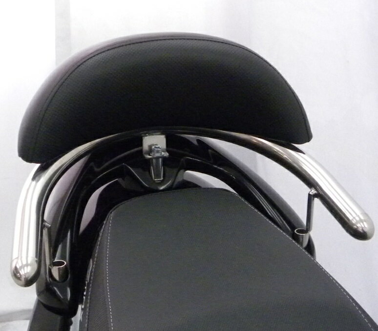 PGO G-MAX125 バックレスト付き 32Φタンデムバー ブライアントタイプ ウイルズウィン（WirusWin）