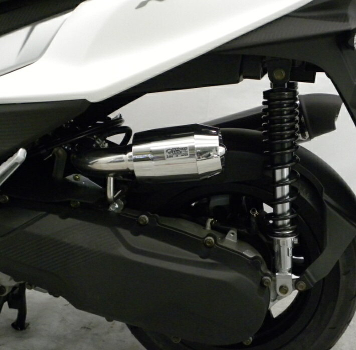 KYMCO RACING S 125（16年） ブリーズタイプ エアクリーナーキット シルバーメッキ ウイルズウィン（WirusWin）