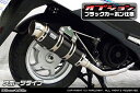 アドレス125(2BJ-DT11A) ロイヤルマフラー スポーツタイプ ブラックカーボン仕様 ウイルズウィン(WirusWin)