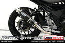 GSX250R(2BK-DN11A) スリップオンマフラー スポーツタイプ ブラックカーボン(JMCA認証マフラー) ウイルズウィン(WirusWin)