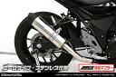 GSX250R(2BK-DN11A) スリップオンマフラー ユーロタイプ ステンレス(JMCA認証マフラー) ウイルズウィン(WirusWin)