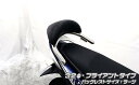 ルビアス125(Luvias) バックレスト付き 32φタンデムバーブライアントタイプ ウイルズウィン(WirusWin)