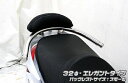 SYM RV125i バックレスト付き32Φタンデムバー エレガントタイプ ウイルズウィン（WirusWin）