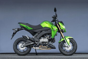 SUS DOWN TYPE-1 YAMAMOTO RACING(ヤマモトレーシング) Z125 PRO(プロ)