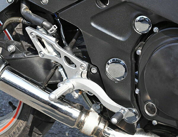 BEET 0111-K76-20 ハイパーバンク バックステップ シルバー 固定式 ZZ-R400