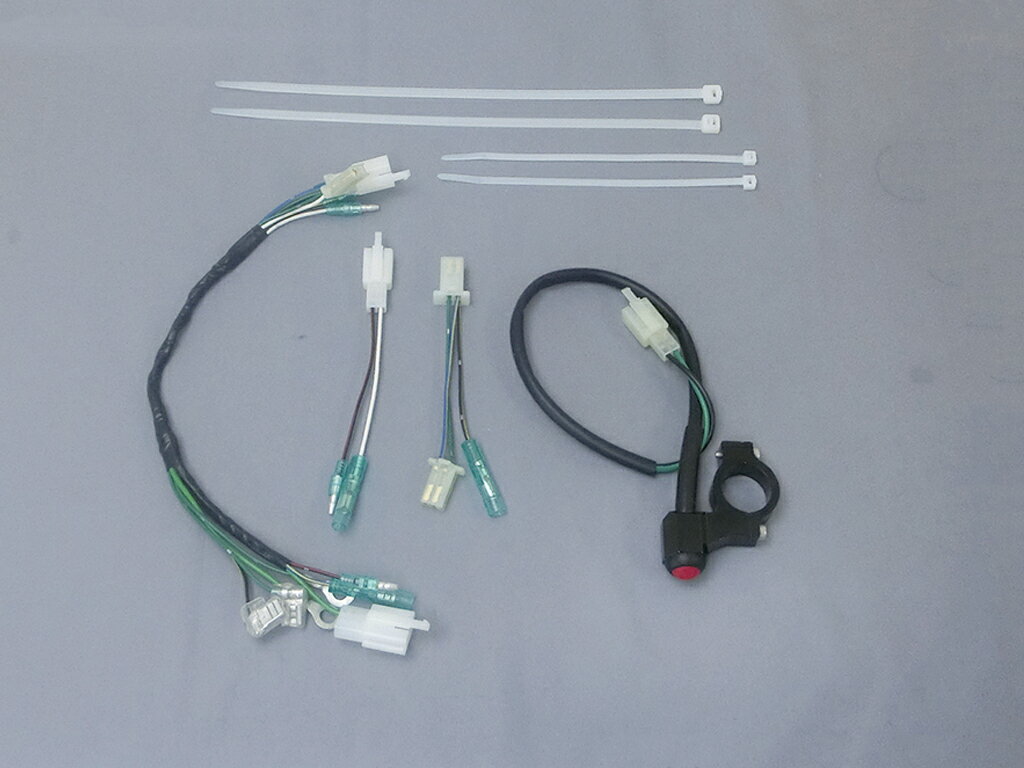 CFポッシュ 220216 レーシングSPハーネスキット プッシュタイプキルスイッチ付 NSR50
