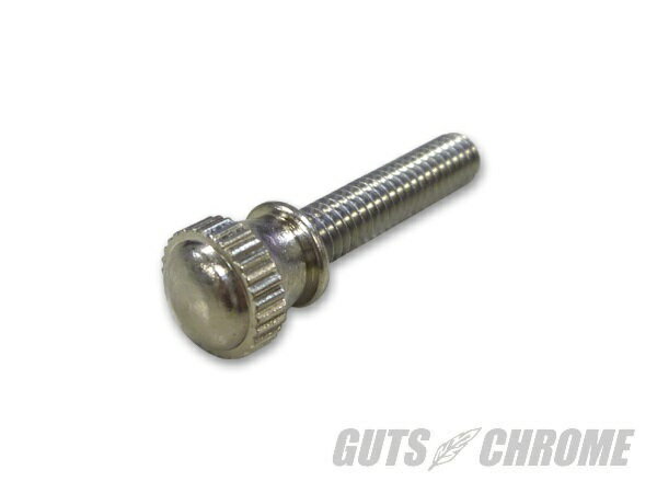 GUTS CHROME ガッツ クローム BR-011 バイアレール Bキャブ用 アイドルスクリュー ガッツ クローム br-011