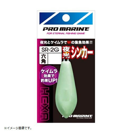 プロマリン PRO MARINE SR2G-100 夜光シンカー六角 100号 仕掛けウキ うき おもり 仕掛け 釣り 浜田商会