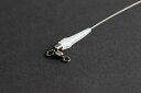 カツイチ 830352 琵琶湖キャロワイヤーDX 15cm 2個入り 釣り フィッシング 魚 釣具