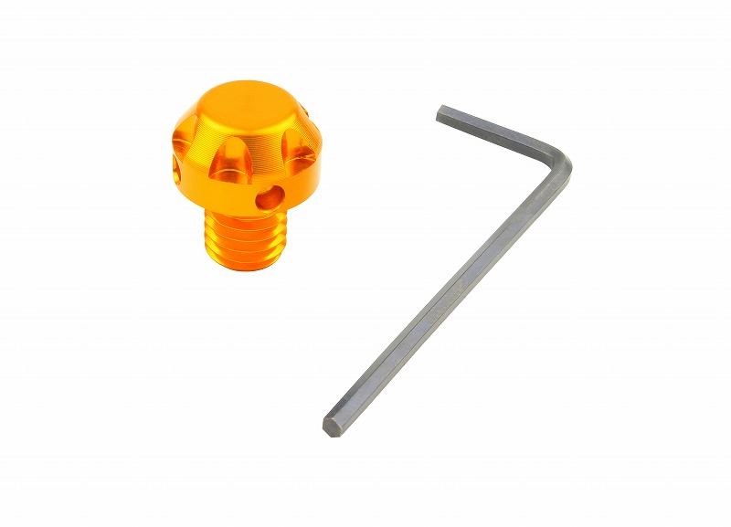 ポッシュフェイス 000813-04 ナサタイプミラー穴埋キャップ ゴールド M8/逆ネジ用 バイク