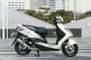 RPM シグナスX125 マフラー 80D-RAPTOR シグナス CYGNUS-X125 台湾五期FI RPM 6031D