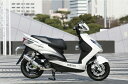 RPM シグナスX125 マフラー 80D-RAPTOR TI チタン シグナス CYGNUS-X125 台湾五期Fi RPM 6031Y