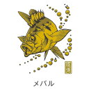 ササメ SH258 大漁祈願 蒔絵シール メバル(ゴールド) 釣具 釣り つり