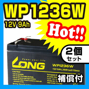 WP1236W 　2個セット　　12V 9Ah　UPS・防災・防犯・システム等多目的バッテリー LONGバッテリー バイクパーツセンター