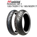 【期間中ポイント最大10倍!要エントリー】NANKANG/ナンカン バイクタイヤ WF-1 120/70 ZR17 & 190/50 ZR17 17インチ 前後...