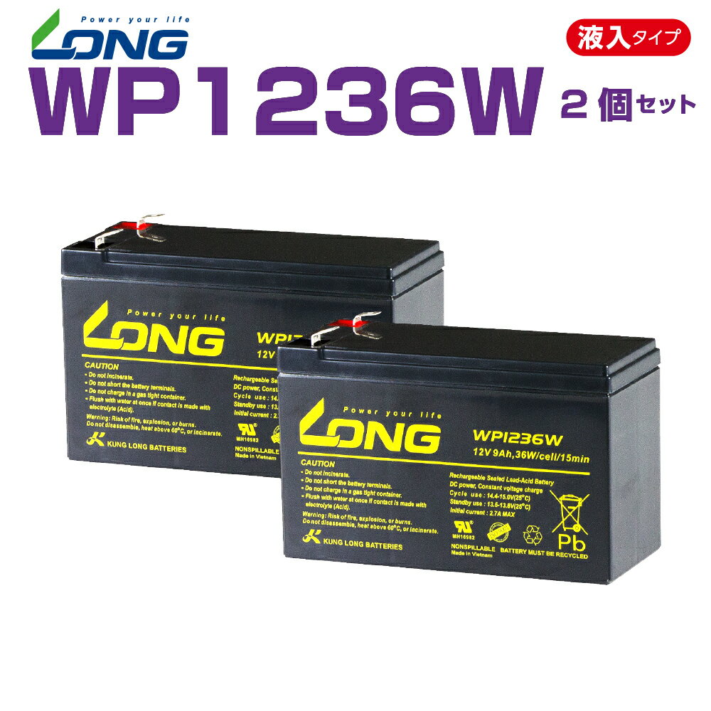 WP1236W 2個セット 12V 9Ah UPS・防災・防犯・システム等多目的バッテリー LONG ...