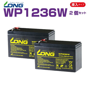 WP1236W 　2個セット　　12V 9Ah　UPS・防災・防犯・システム等多目的バッテリー LONGバッテリー バイクパーツセンター
