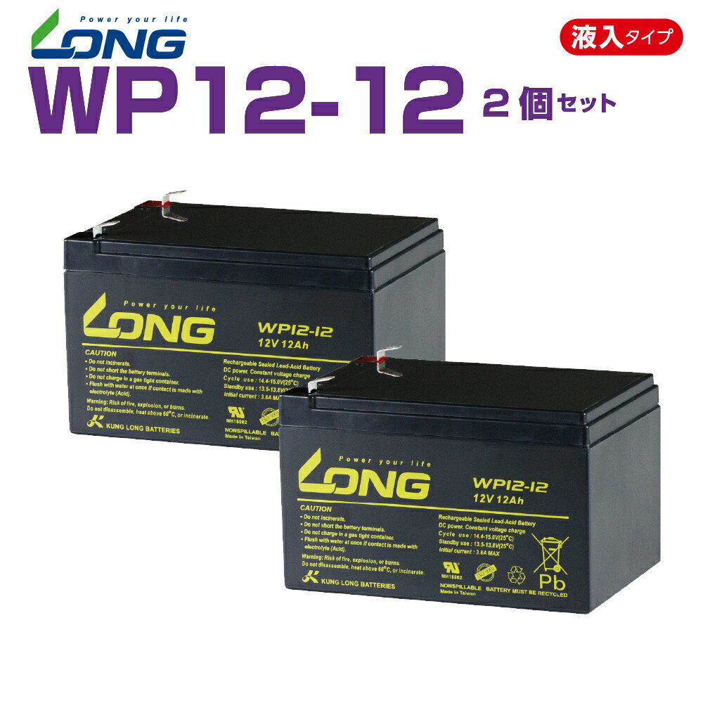 WP12-12 2個セット 12V 12Ah UPS・防災・防犯・システム等多目的バッテリー LONGバッテリー バイクパーツセンター 1