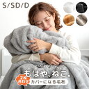 【新発売プライス!9/30迄】もはや、ねこ。 カバーになる 毛布 洗える 二枚合わせ 掛け布団 掛ふとん ブランケット 布団 毛布にもなる カバー 布団カバー 毛布カバー 掛け布団カバー 掛けカバー シングル セミダブル ダブル 暖かい 冬 冬用 厚手 猫毛布 猫 猫柄 可愛い