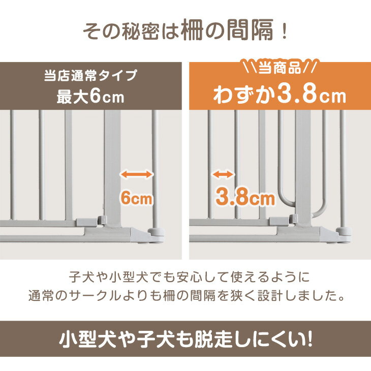 Ķ��������æ�����ˤ��� �ڥåȥ������� 6/8�祻�å� �Хꥢ�ե꡼ �������� ����ѥ��� �ޤꤿ���� 65cm �ɥ��դ� �Ȥ��ؤ� ��ĥ �ɥå��������� �ɥå������� �������� �ڥåȥ����� ���� �� ������ ������ �淿�� ���� �쥤������ ǭ