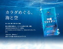 bikenscience-store:10000013のサンプル画像2