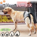 ハーネス 介護 犬 簡単 歩行 補助 介助 サポート ベルクロ マジックテープ 老犬 怪我 負傷 大型犬 中型犬 小型犬 ヘルスケア 排泄 全身 脱げない 前足...