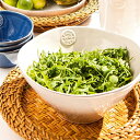 【送料無料】『コスタ・ノバ ノバ サラダボウル』【COSTA NOVA ボウル サラダ パスタ 食器 電子レンジ対応 テーブルウェア 地中海 ポルトガル】