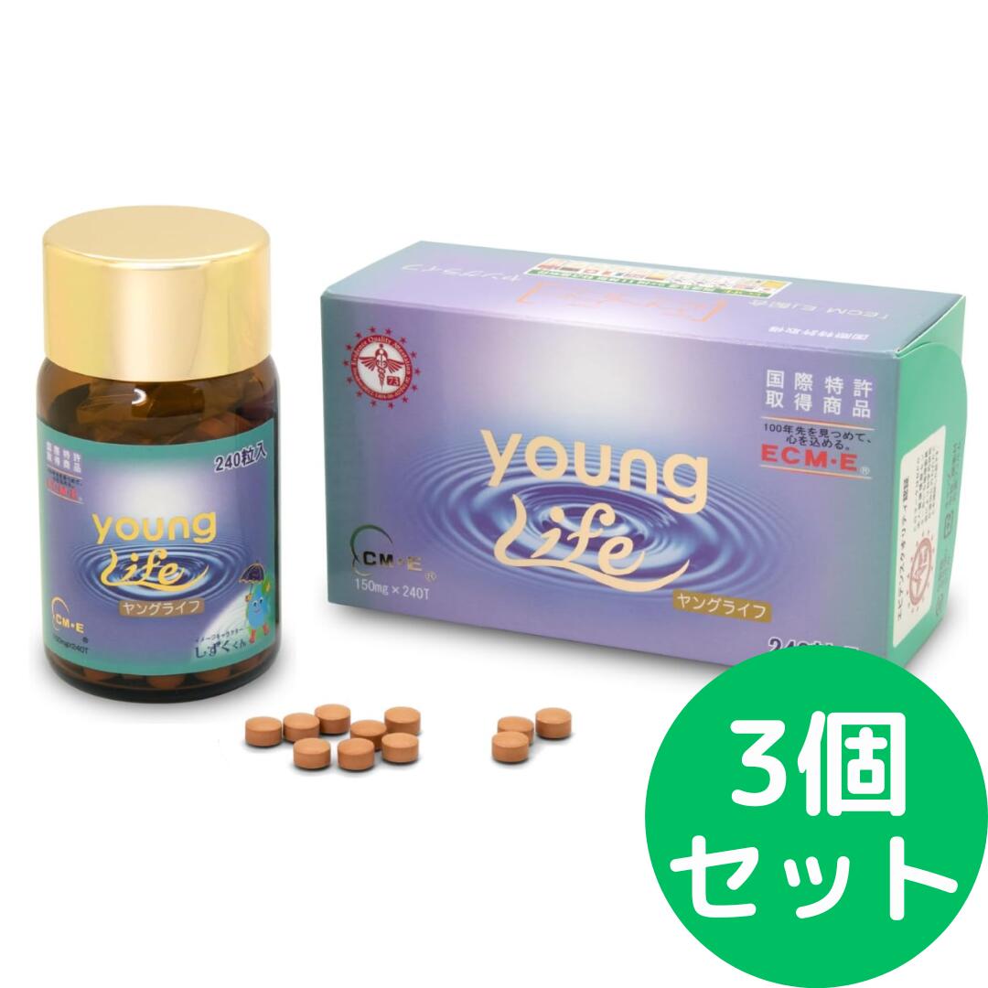 樂天商城 - ヤングライフ 240粒【3個セット】