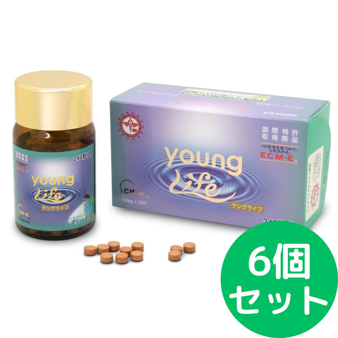 樂天商城 - ヤングライフ 240粒【6個セット】