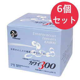 カワイ300 乳酸球菌カワイ株300mg含有/包 (1箱 1g×100包)【6個セット】