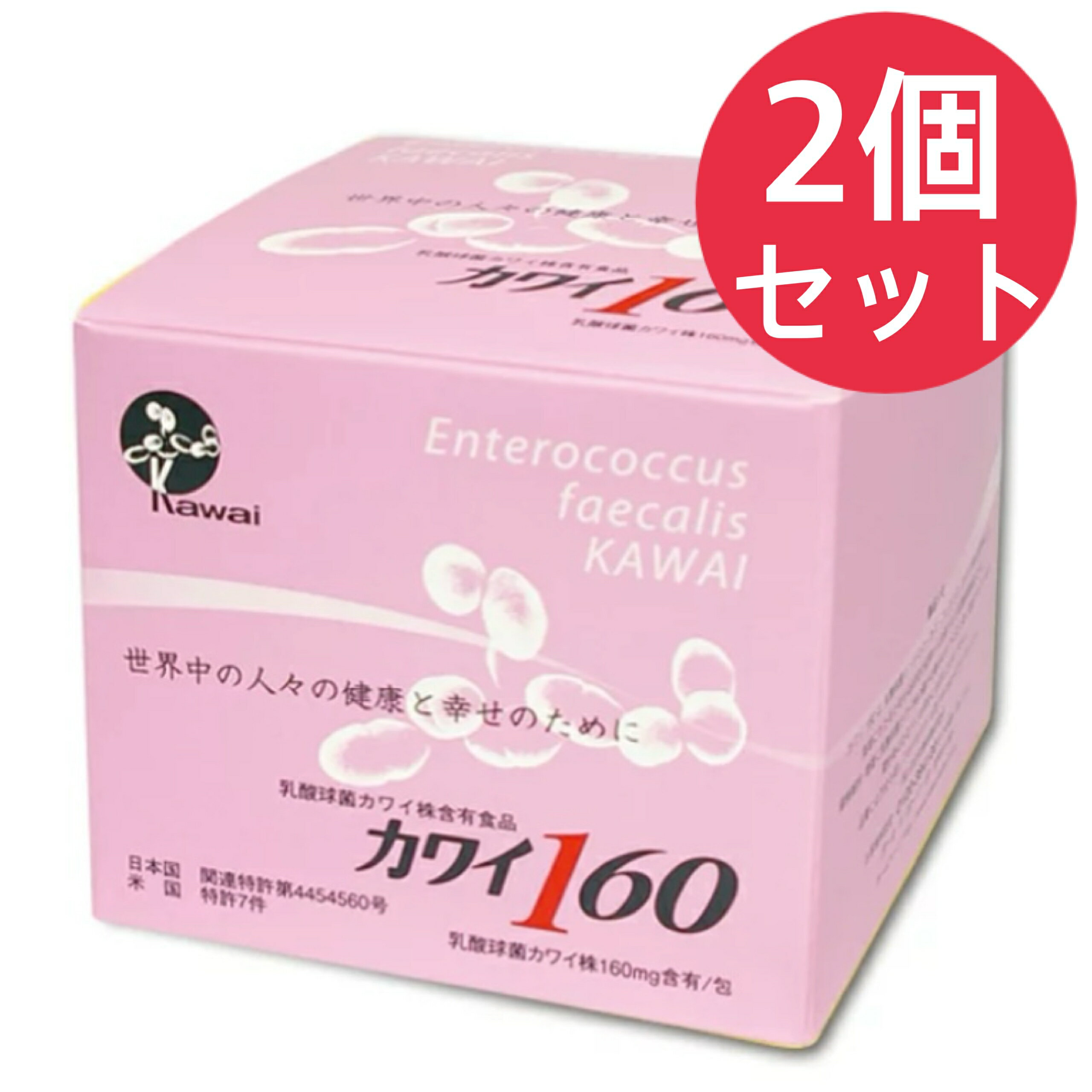 カワイ160 乳酸球菌カワイ株160mg含有食品 100包入【2個セット】
