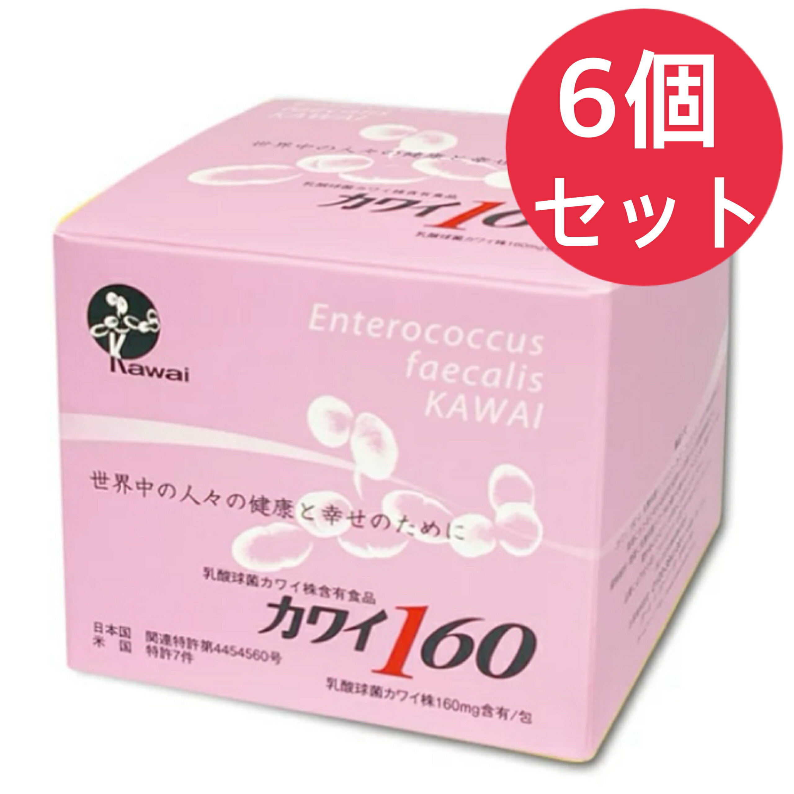 カワイ160 乳酸球菌カワイ株160mg含有食品 100包入【6個セット】