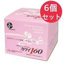 カワイ160 乳酸球菌カワイ株160mg含有食品 100包入【6個セット】