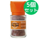 リ・コエンザイム ビオソルト ミル付ボトル入り 70g【5個セット】