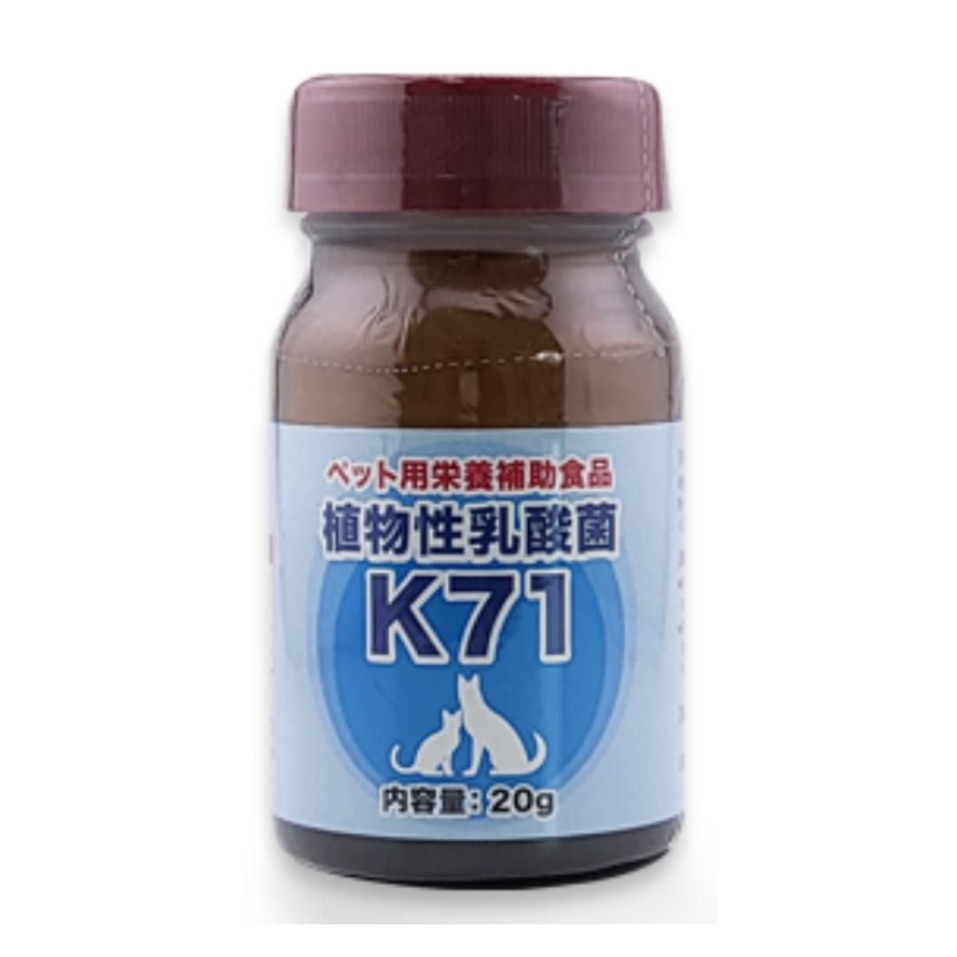 楽天市場】k71 乳酸菌の通販