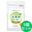 大草原の乳酸菌 NS-Max(36粒入)【1日2粒/約18日分】【5個セット】 ラクア
