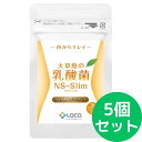大草原の乳酸菌 NS-Slim (36粒) ラクア 【5個セット】