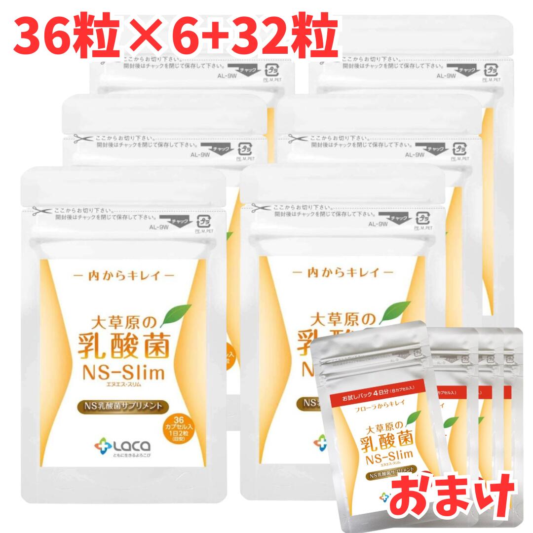 乐天商城 - 大草原の乳酸菌 NS-Slim 36粒 6袋セット ＋[32粒 増量]