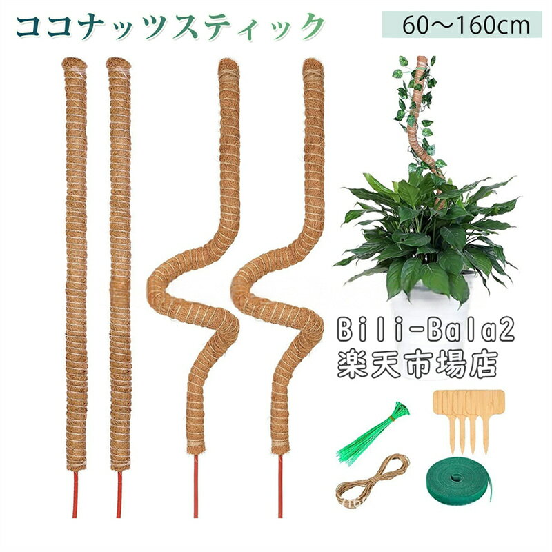 Rakuten - 観葉植物 支柱 園芸支柱 曲げられる ココスティック モンステラ支柱 モンステラ 園芸用 植物 ココナッツ支柱 つる性植物 植物サポート ヘゴ支柱 ココナッツ 園芸支柱パーツ フラワースタンド 2本入り