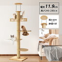 \マラソン★P5倍+最大150円OFF/突っ張り型 キャットタワー 木製 高さ250cm レギュラーモデル つっぱり スリム コンパクト 省スペース 猫タワー ...