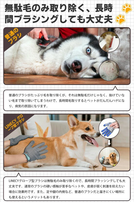 サンプル画像3