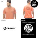 2024 ビラボン メンズ  CG BRAIN SS Tシャツ  全2色 M/L/XL BILLABONG