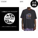 2024 ビラボン メンズ【ビラボン GALLERY】 【TURN THE TIDE】 DOG DAYS OG SS WW Tシャツ 【2024年春夏モデル】 全1色 M/L/XL BILLABONG